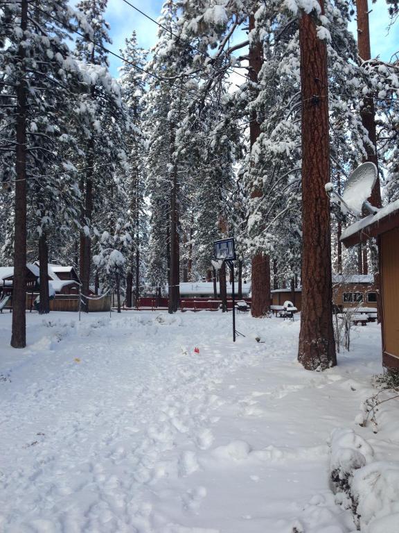 Majestic Moose Lodge - Coptic Village Big Bear Lake Exterior foto