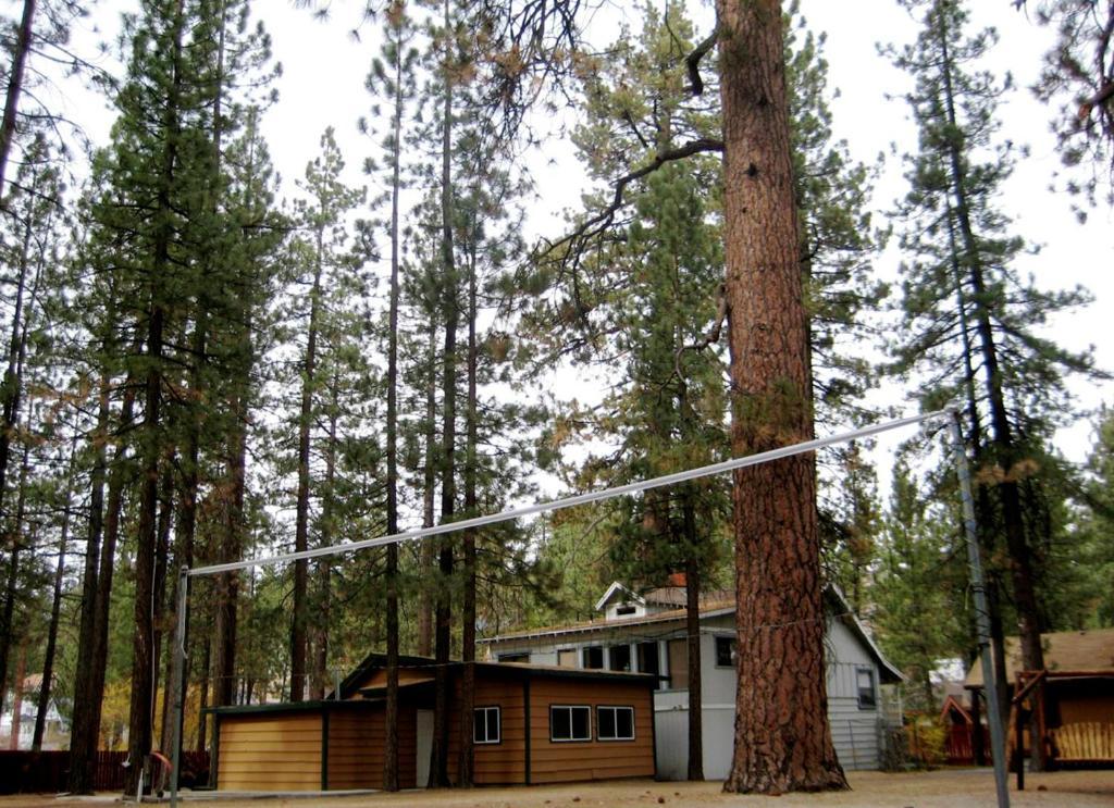Majestic Moose Lodge - Coptic Village Big Bear Lake Exterior foto